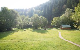 Barlogul Ursului Hotel